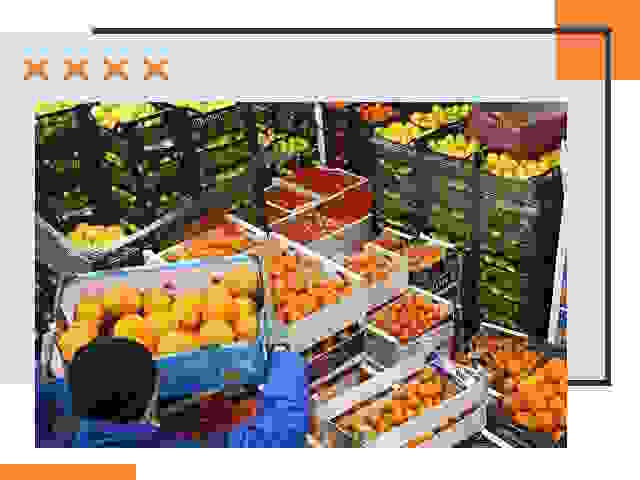Перевозка скоропортящихся продуктов в Видном